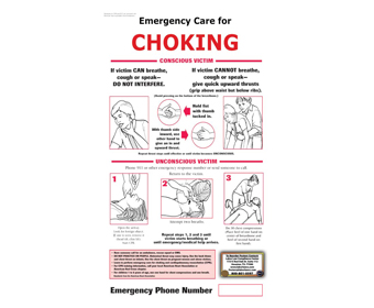 safetyandfirstaid.com